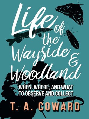 cover image of Life of the Wayside and Woodland - When, Where, and What to Observe and Collect
